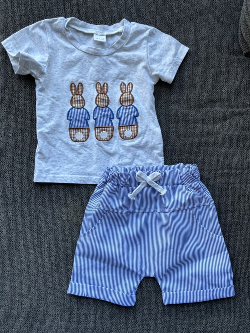 Gray Bunny Appliqué Tee and Blue Stripe Shorts Set